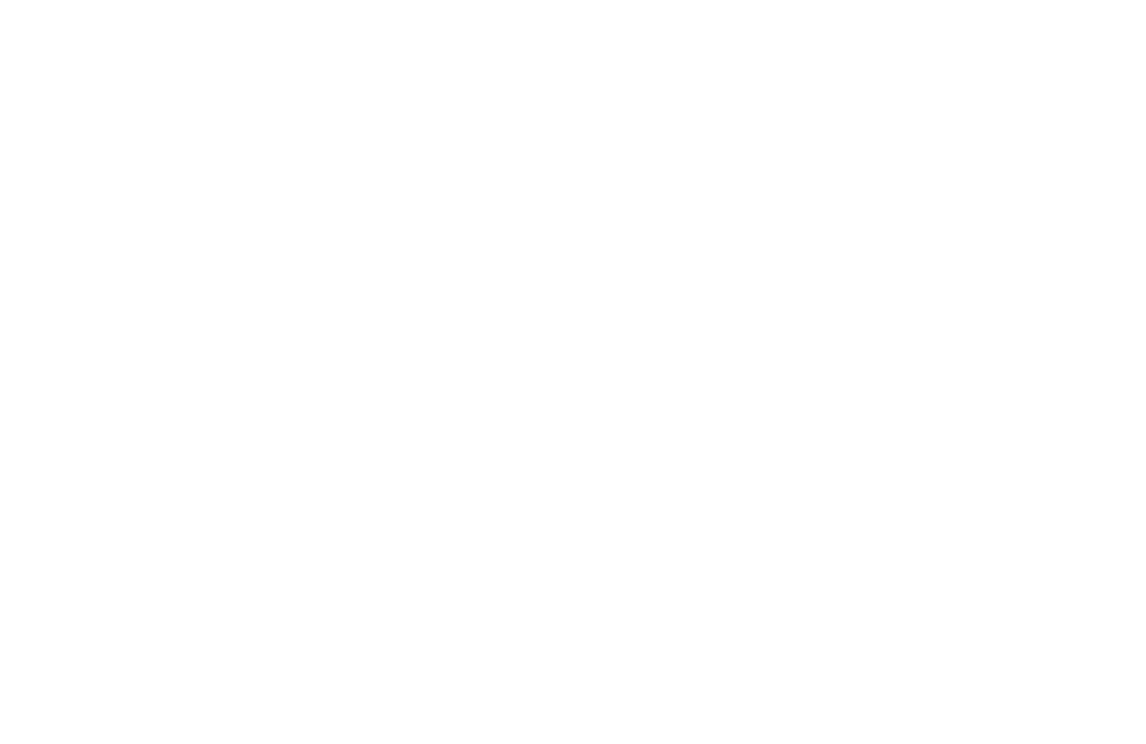 CMC Logo